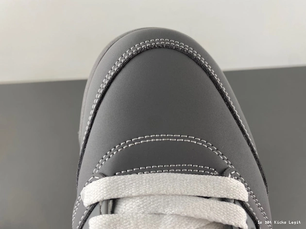 5 Air Wolf Grey Jordan 136027-005 Retro 0810